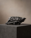 Scopa della strega ( Cianite nera )