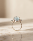 Anello della chioma dei tre amuleti elfici