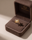Anello Venere