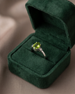 Anello della luce elfica